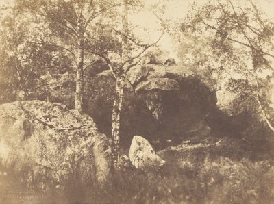 Fontainebleau von Charles Marville